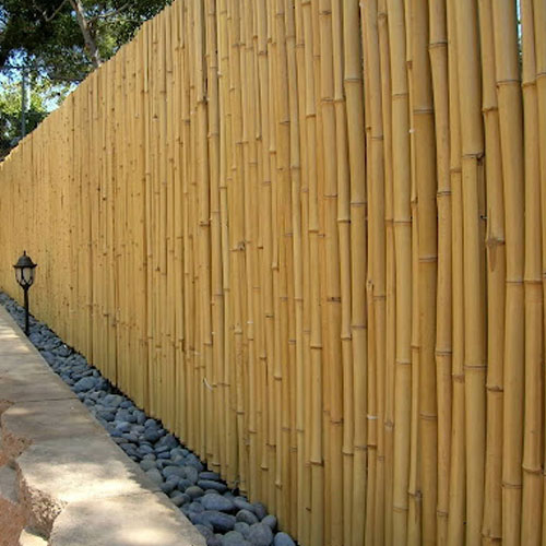 Bamboo Jafri