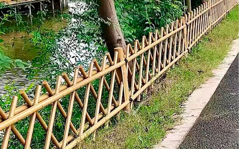 Bamboo Boundary